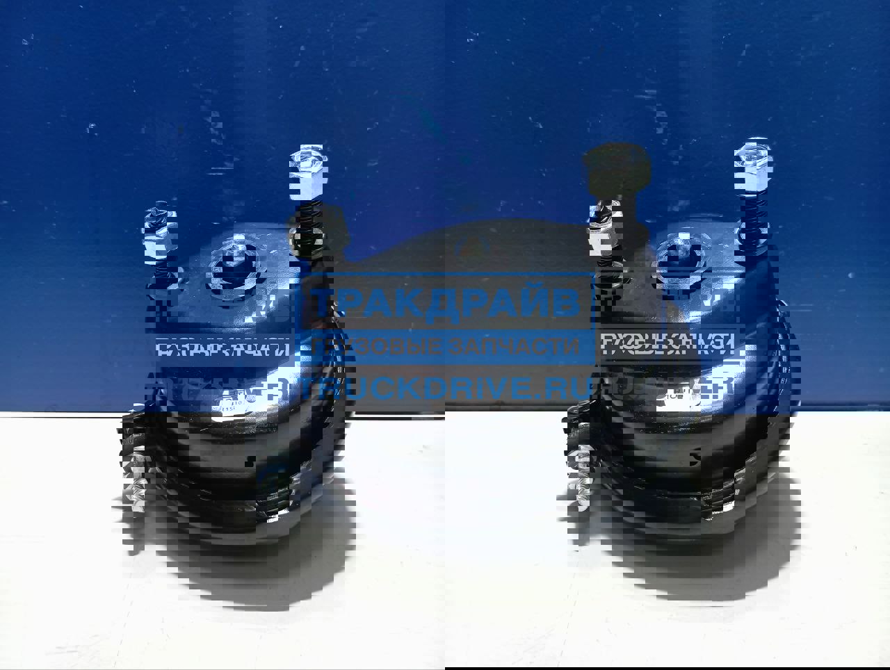 Фото ROTTA R15103 камера тормозная тип 24 дисковый тормоз BPW DAF XF95 MAN TGA с 2004 г