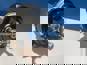Фото SAMPA 09230501 энергоаккумулятор для грузовиков Даф Мерседес МАН правый T20/24 дисковый тормоз 