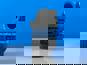 Фото SANY HQ3550116SQ10 клапан ABS для тягача SANY D495A 4