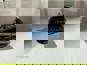 Фото SHAANXI DZ9L149585912 датчик наружной температуры Shacman X6000  3