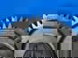 Фото SHAFT-GEAR 12JSD160T1707051 вал промежуточный демультипликатора КПП 12JSD160T для Шакман 1