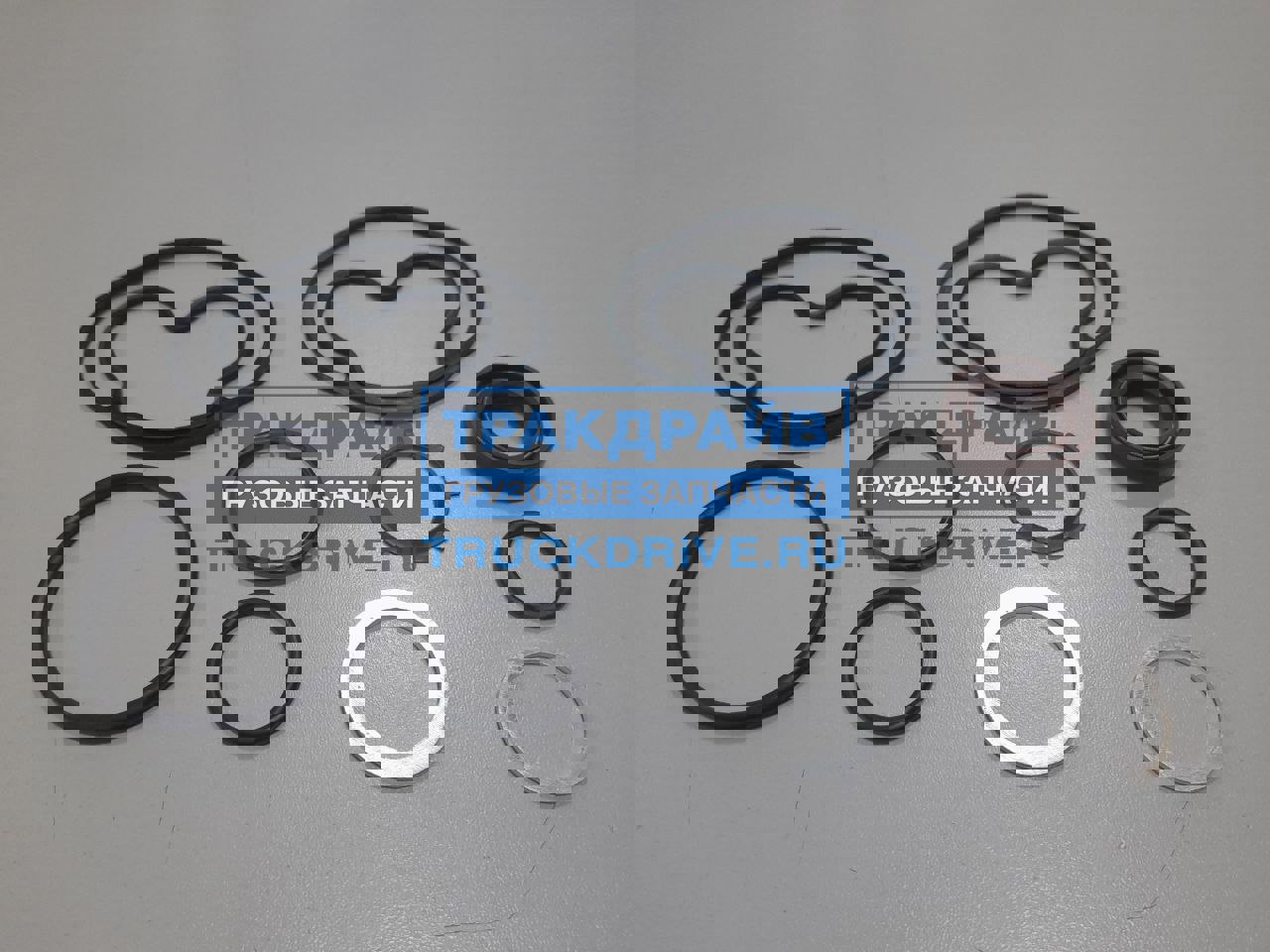 Фото SIEGEL SA8D0002 ремкомплект насоса ГУР Рено Магнум 