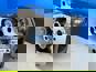 Фото SIN PARTS SIN4570100821 головка блока цилиндров в сборе Mercedes Axor с двигателем OM457 Евро 4