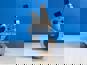 Фото SITRAK 202V081500053 дифференциальный датчик давления для Sitrak 7