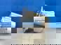 Фото SITRAK 810W376150001 цилиндр пневматический кпп для грузовиков Хово и Ситрак 4