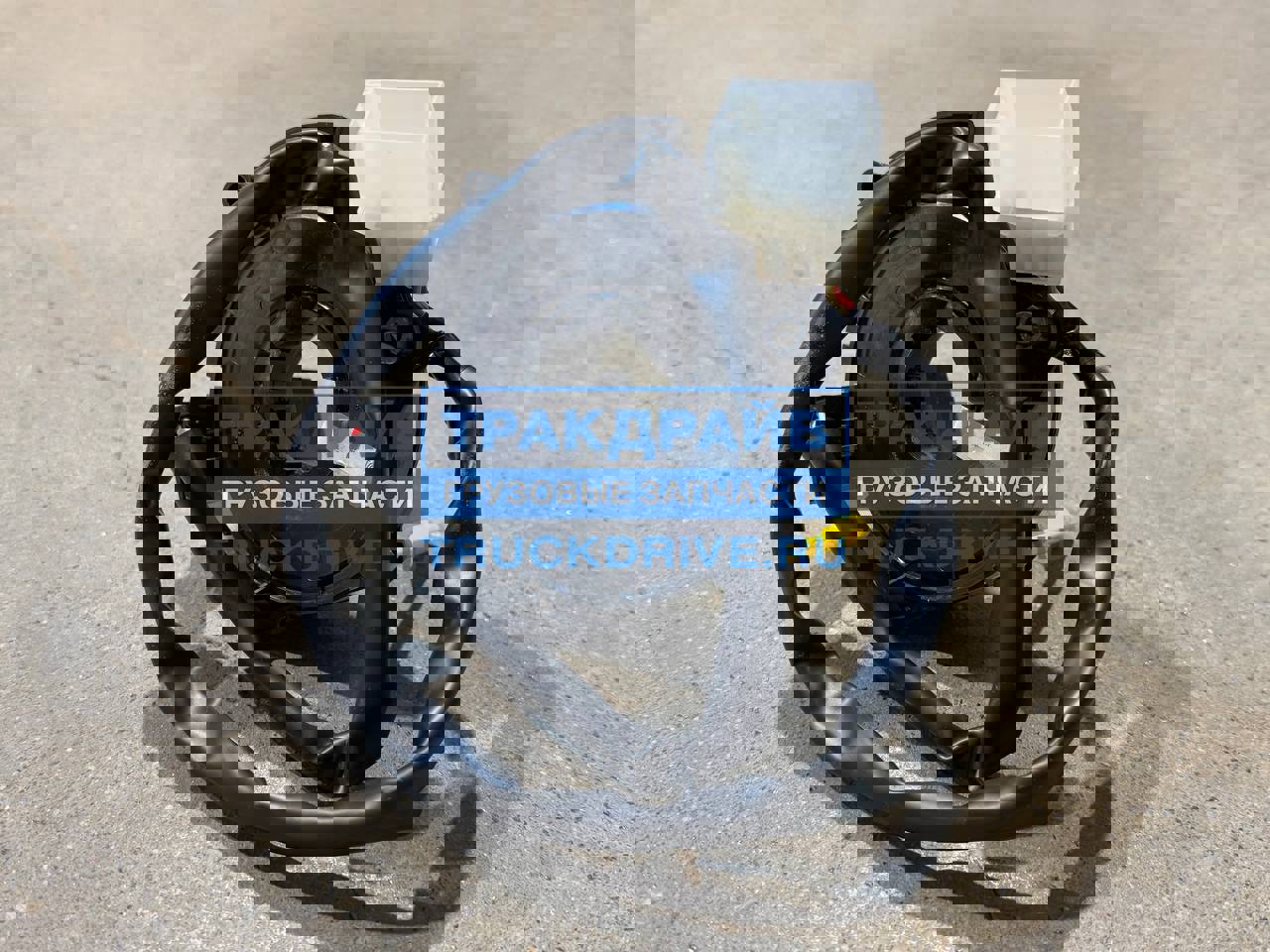 AR CHR 321枚 タマタマ【AR】{065/064} - カードラッシュ[ポケモン]