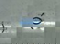 Фото SITRAK WG97252205361551 кольцо уплотнительное 53,5x4 вала вилки АКПП ZF 12TX26