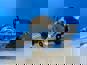 Фото SITRAK WG9725230042GKC110 пневмогидроусилитель сцепления Хово Т5Г А7 Ситрак С7Н 4