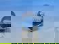 Фото SITRAK WG9761450151 втулка тормозной колодки для Sitrak C7H Howo T5G мост MCP16 VGD95 2