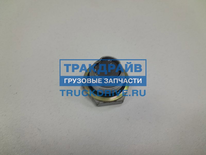 Пробка сливная Рено Премиум двигатель DXi11 SK-7730001-01 S&K купить ...