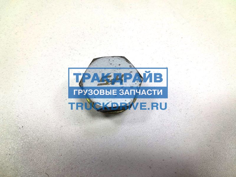 Пробка сливная Рено Премиум двигатель DXi11 SK-7730001-01 S&K купить ...