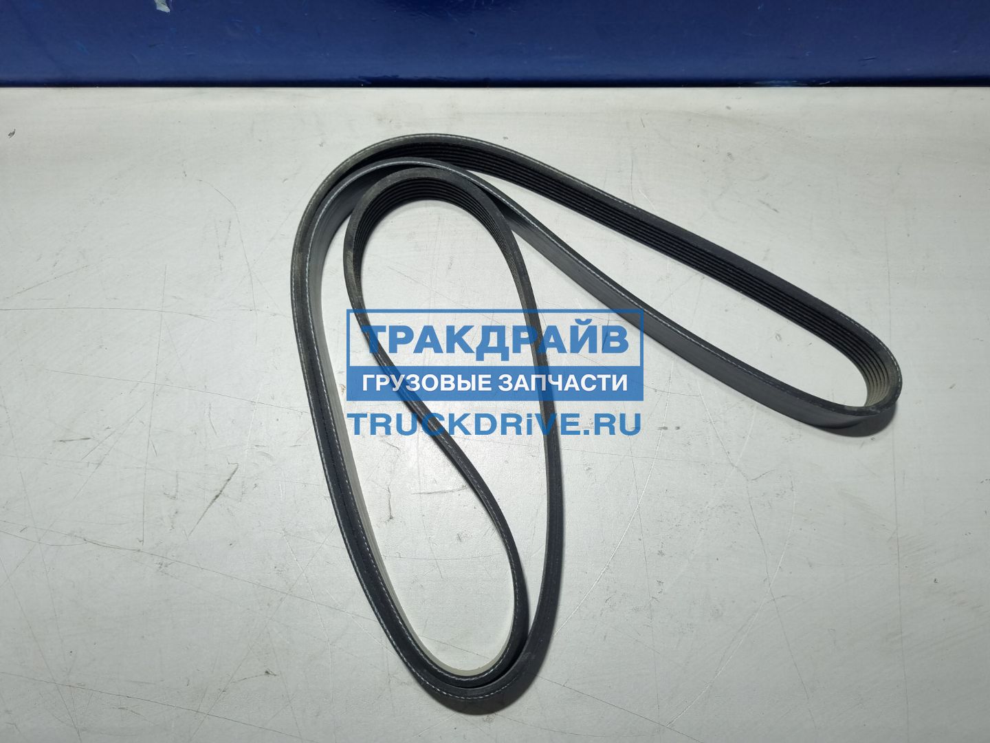 Фото SONDER 130065008 ремень поликлиновый DAF CF85 IV XF105