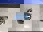 Фото TIMKEN HM804846HM804810 подшипник конический роликовый 2