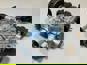 Фото TOPCOVER T03685001 главный кран уровня пола ECAS Daf Man Iveco Mercedes 3 электромагнита 4