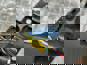 Фото TROFEO 7484188482RVI зеркало Renault T-series правое в сборе 6