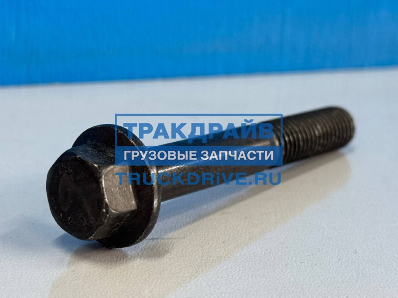 Фото TRP 1313120 фланцевый болт топливной форсунки M8X55 мм