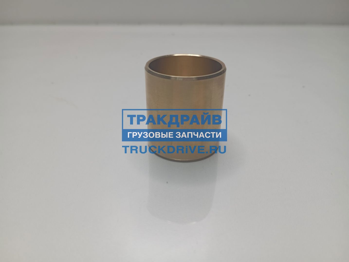 Фото TRUCKEXPERT 70383001 втулка ролика тормозной колодки SAF Holland RBM/RSM/RZM/RZ 1