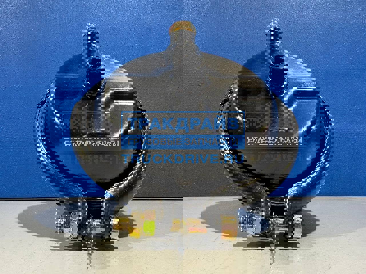 Фото ТСР 4235060020 камера тормозная для автомобилей Камаз 5490  