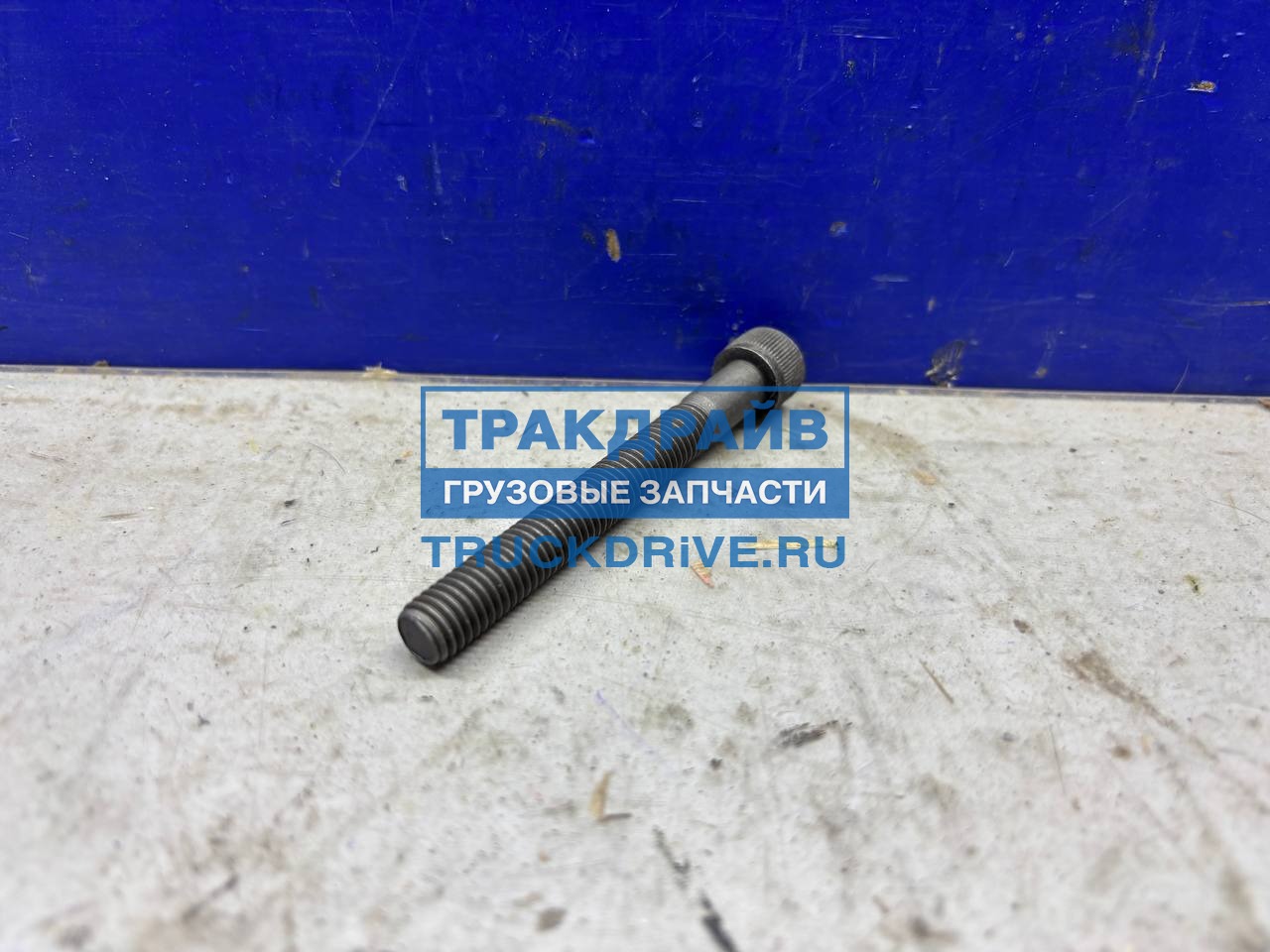 Фото TZERLI S1750857 болт ленты топливного бака М10х1,5 мм
