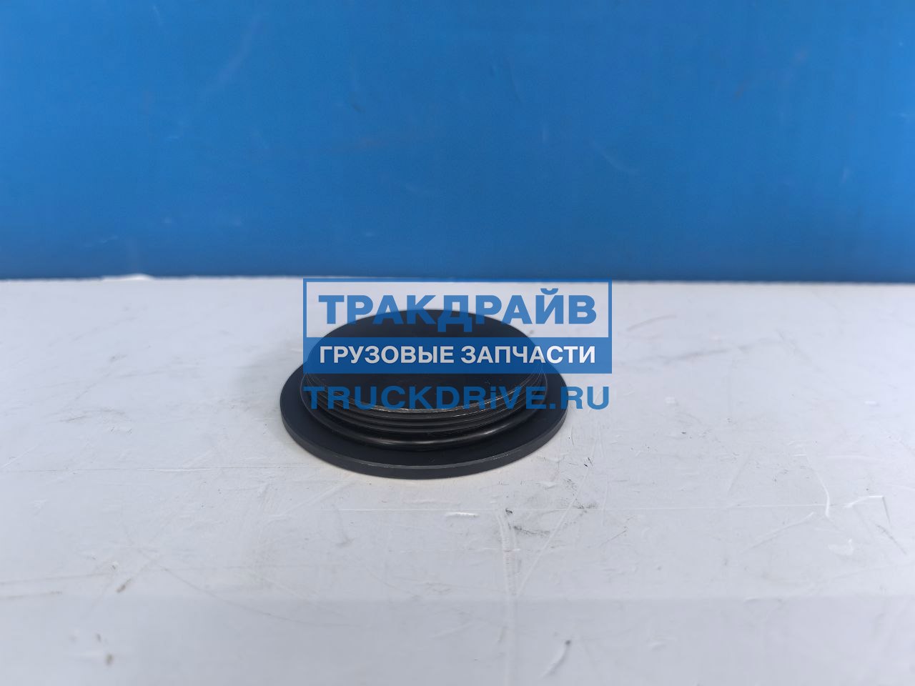 Фото TZERLI TZ1131092 крышка шкворня верхняя для автомобилей Scania 4 5 серии