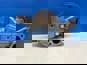 Фото VADEN ORIGINAL 0101325 насос системы смазки для Mercedes Axor двигатель OM457 3