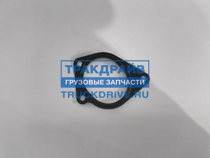 Фото VADEN ORIGINAL 0103012 прокладка водяного насоса Volvo FH12