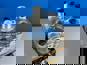 Фото VADEN ORIGINAL 3700020001 компрессор воздушный одноцилиндровый для Ситрак C7H и Хово T5G 8