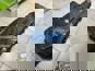 Фото VADEN ORIGINAL 449030001 картер масляный Volvo FH FM двигатель D13A D13B D13C 6