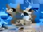 Фото VADEN ORIGINAL 525060022 Помпа водяная для Даф XF105 6