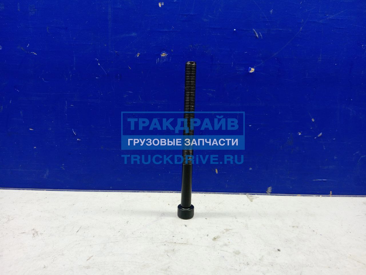 Фото VICTOR REINZ 143219001 болты ГБЦ комплект Volkswagen Touareg Transporter T5 2003-2015
