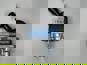 Фото WABCO 9617230150 кран КАМАЗ,МАЗ,ГАЗ-3310 Валдай стояночного тормоза (2-х конт.) WABCO