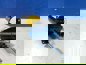 Фото WAYTEKO DZ9112230178 пГУ сцепления Shacman X3000 3