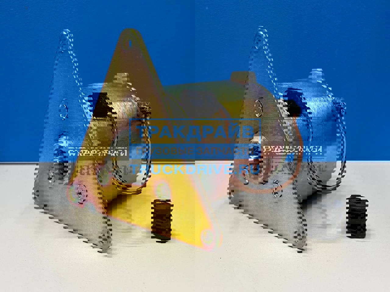 Электродвигатель предпускового подогревателя Webasto Thermo DW300 24V ...