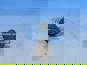 Фото WEICHAI 1000332643 болт шатуна двигателя WP13 M14x1.5-69 мм 2