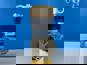 Фото WEICHAI 1000904146 компрессор воздушный для двигателей WP7, WP5 5