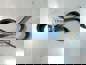 Фото WEICHAI 1001991336 ремень привода двигателяы Weichai WP8 MAZ