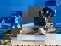 Фото WEICHAI 1002023407 водяной насос для WEICHAI WP7NG 7