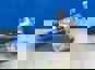 Фото WEICHAI 1007393730 узел контроля температуры газа для Weichai WP7NG290E51 Волгабас Лиаз