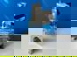 Фото WEICHAI 1008102113 устройство подготовки газовой смеси (Газовый смеситель) WEICHAI 5