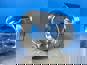 Фото WEICHAI 610800030080 поршень для двигателя Weichai WP5 WP7 МАЗ-5340 4