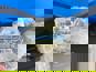 Фото ZF 0501216205 переключатель КПП ZF/4-6WG200/WG180 2