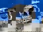 Картер сцепления ZF 16S151 MAN/DAF/RVI/Iveco 1316301064
